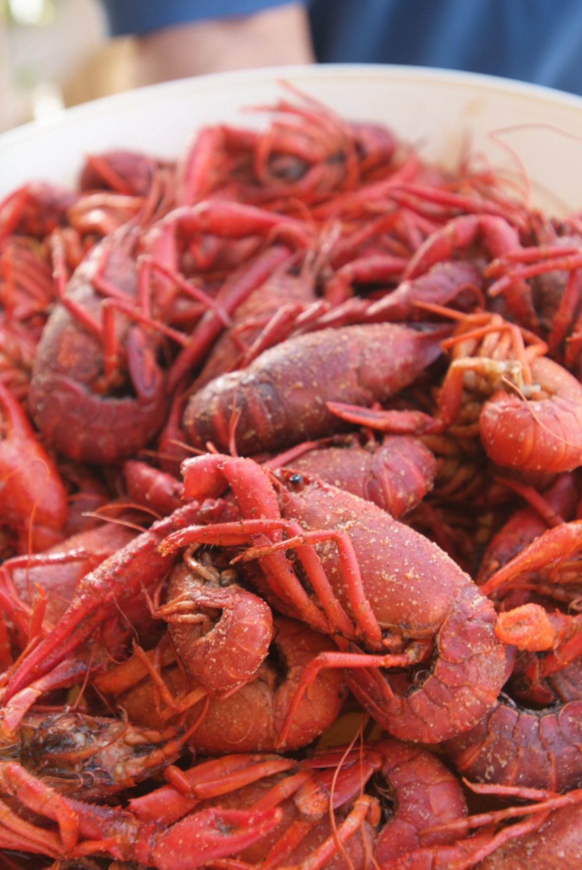 Crawfish